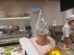 -野人先生现做冰淇淋(北京环宇荟店)