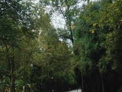 -青城山