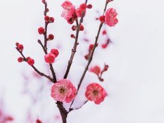 -鹫峰国家森林公园