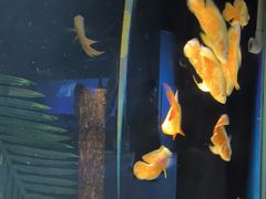 -重庆欢乐海底世界