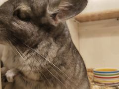 -龙猫仔乐园(惠福东路店)