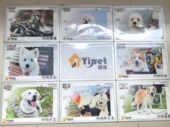 -翊宠yipet猫狗购宠庄园犬舍•猫舍