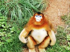 -云南野生动物园