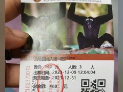 -西霞口神雕山野生动物世界