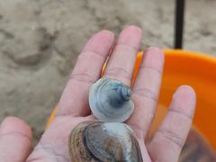 -王家村浴场