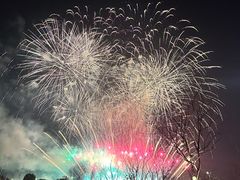 -绍兴镜湖国家城市湿地公园