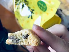 奶香提子酥-鲍师傅糕点(春熙路店)
