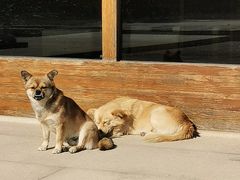 -法华学问寺-停车场