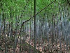 -敬亭山风景名胜区