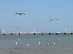 -ChanDu躔度咖啡(灯塔店)