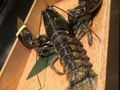 -Ginza Onodera铁板烧(外滩十八号店)