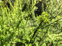 -杭州城北体育公园