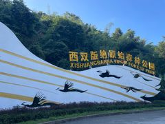 -西双版纳原始森林公园