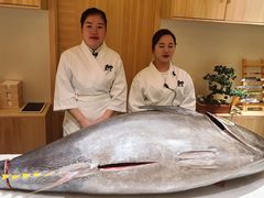 -鲤·鮨KOISUSHI