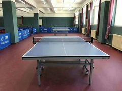 -梦想者乒乓球少儿运动中心(红桥店)