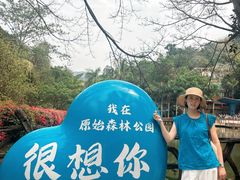 -西双版纳原始森林公园