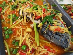 活渡花鲢-蜀江春(科华北路店)