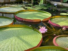 -国家植物园南园