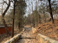 -阳台山自然风景区