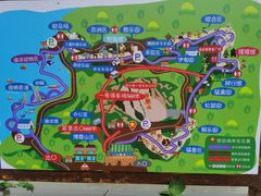 -西霞口神雕山野生动物世界