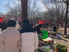 -辛庄国际文化艺术区