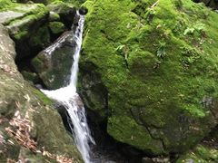 -藏龙百瀑风景区