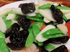 -青藤汗蒸时代会所