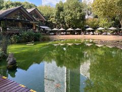 -静安公园(静安寺街道)