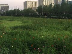 -便宜坊烤鸭店(科创店)