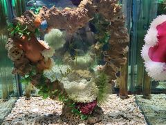 -太平洋海底世界