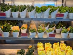 -海底捞大排档火锅(打浦路店)