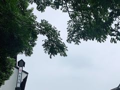 -乌镇东栅景区