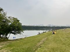 -盘龙城国家考古遗址公园