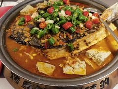 -探炉·香辣豆花烤鱼(笋岗宝能环球汇店)