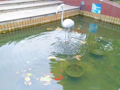 -七宝老街-闵行市民文化广场