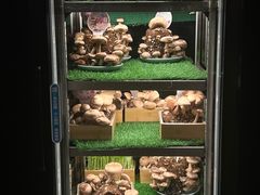 -捞王锅物料理(金华义乌之心店)