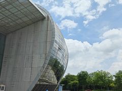 -广西体育中心-游泳馆