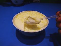 -德禄酸奶(莫家街店)