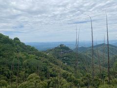 -莫干山风景区
