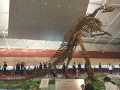 -诸城市恐龙博物馆