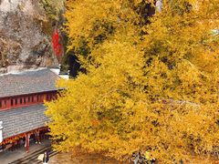 -大慈岩风景区