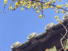-兴教寺