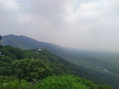 -紫金山山顶公园