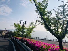 -江南天池