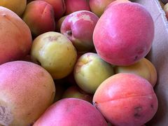 -东方鼎信农副产品交易中心