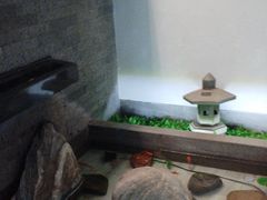 -严记小天府酸菜鱼(西四路店)