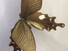 -下渚湖国家湿地公园科普馆