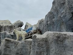 -上海海昌海洋公园-冰山北极馆