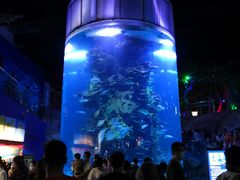 -蓬莱欧乐堡海洋极地世界