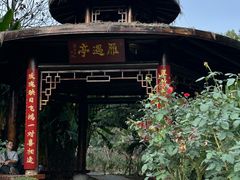 -东湖落雁景区